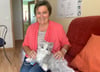 Dorette Schmidt aus Veckenstedt kommt regelmäßig in die Smartphone-Sprechstunde. Amüsiert ist sie über die Katze der Musterwohnung in Wernigerode. Sie schnurrt und miaut wie eine echte, wird aber mit Batterien „gefüttert“.