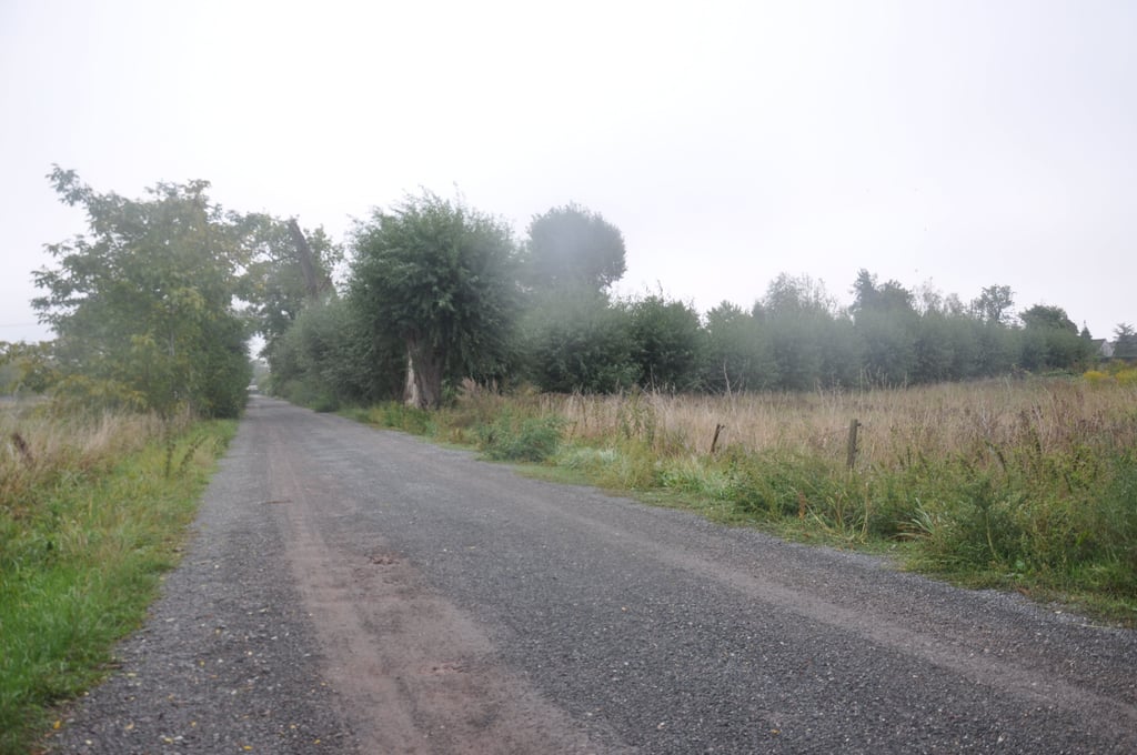 Blick auf den Schwarzen Weg in Osterburg. Über ihn soll das geplante Wohngebiet verkehrsmäßig erschlossen werden.