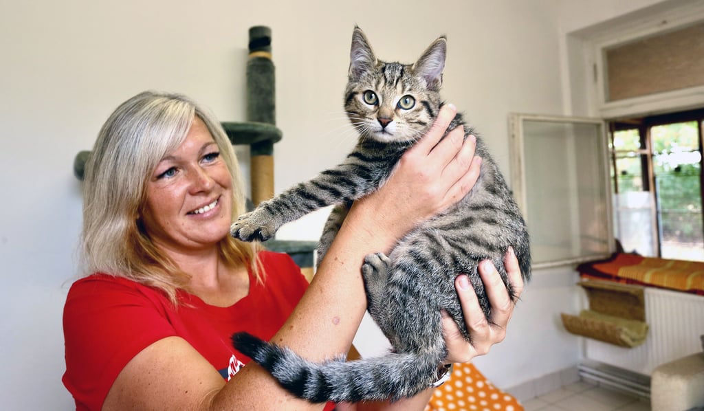 Rasa Zacharias ist seit 2020 die Leiterin des Tierheims in Plömnitz.