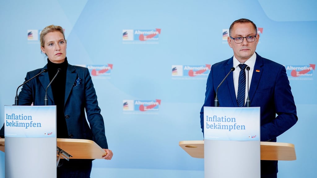 Die AfD-Chefs Alice Weidel und Tino Chrupalla.