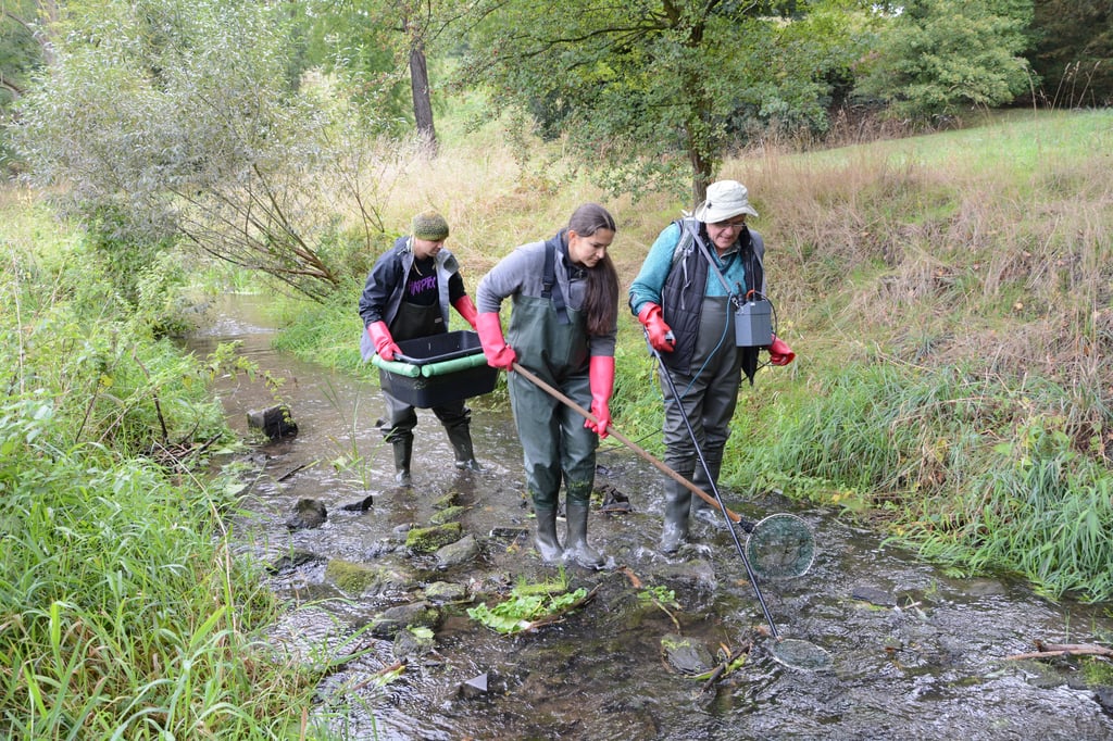 Durch Elektrobefischung wird der Fischbestand in der Beber gemessen. Professor Volker Lüderitz (r.) startete mit Hochschul-Mitarbeiterin Josie Driesch und Student Peter Rauch beim Schloss Hundisburg.
