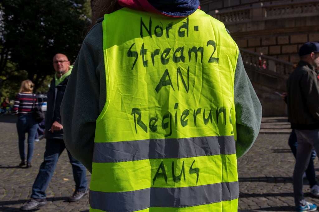Ein Demonstrant verlangt den Rücktritt der Regierung.
