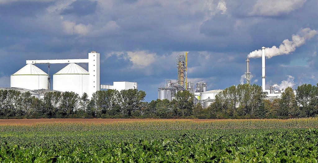 In der Zuckerfrabrik in Klein Wanzleben wird die Ernte 2022 sei 12. September in das „weiße Gold“ der Börde verwandelt – allerdings im Energiespar-Modus.