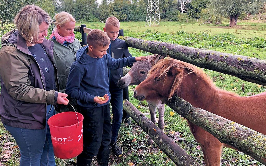 Lino und Mino bekommen Snacks und Streicheleinheiten.