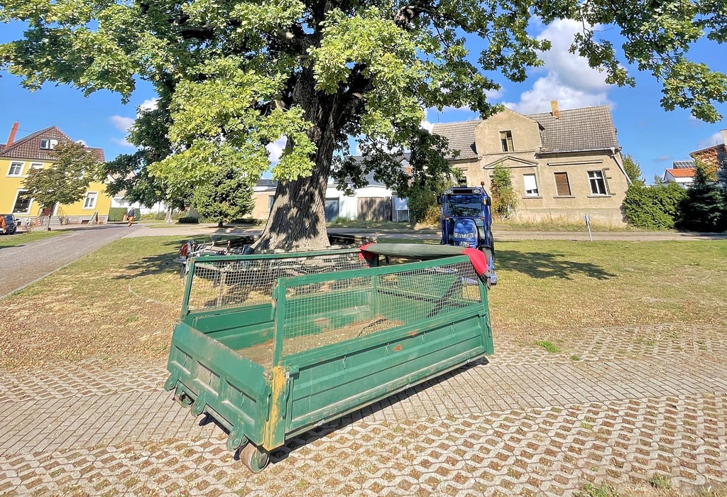 Im Idealfall erledigt sich das Laubsammeln ganz von selbst. Für Mäharbeiten haben Bauhofmitarbeiter gestern einen Sammelbehälter unter der Lühe'schen Dorfeiche abgestellt.