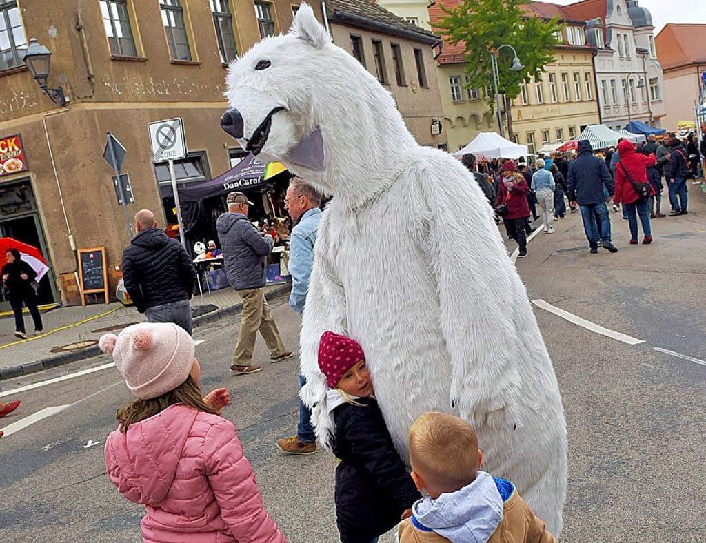 Der legendäre Eisbär war ein beliebtes Kuscheltier und Fotomotiv.