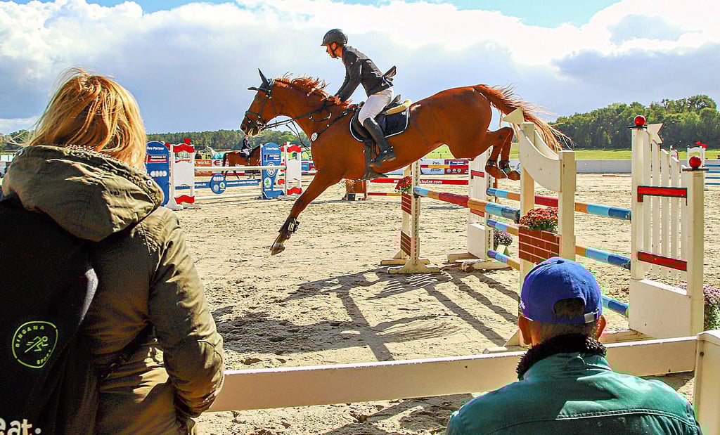 Philipp Konstantin Müller, hier mit Cracker, vom heimischen Reitverein Wiesengrund in Bad Schmiedeberg hat auf Par Expertise den Kreismeistertitel in der Altersklasse Junioren geholt.