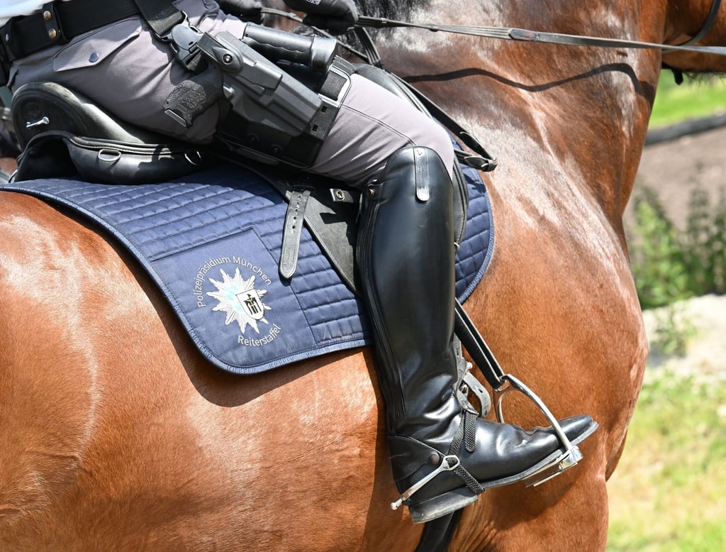 Polizeireiter reitet ein Pferd auf einer Wiese.
