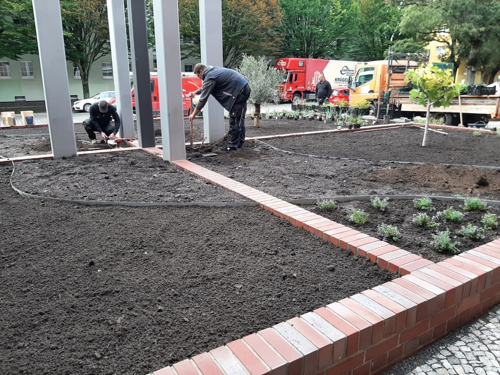 Der neue Bibelgarten entsteht in Magdeburg-Stadtfeld.