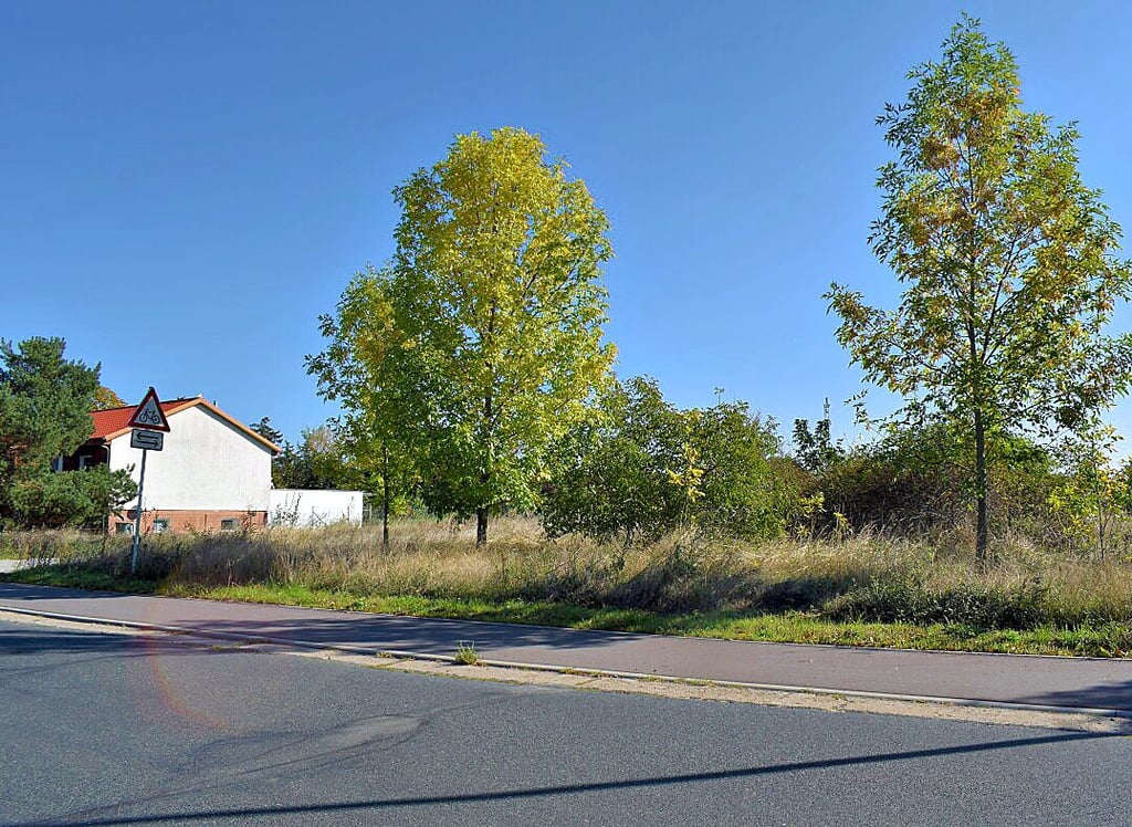 Entlang der Gommeraner Straße in Nedlitz soll das neue Wohngebiet Mühlenbreite entstehen. Die ersten Ideen dazu gab es schon vor rund 30 Jahren.