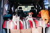 Vorteile einer Autoreise mit Hund: Regelmäßige Pausen für den Auslauf, Mitnahme von vertrauten Gegenständen und für mehr Bewegungsfreiraum während der Fahrt kann der Kofferraum  genutzt werden. 