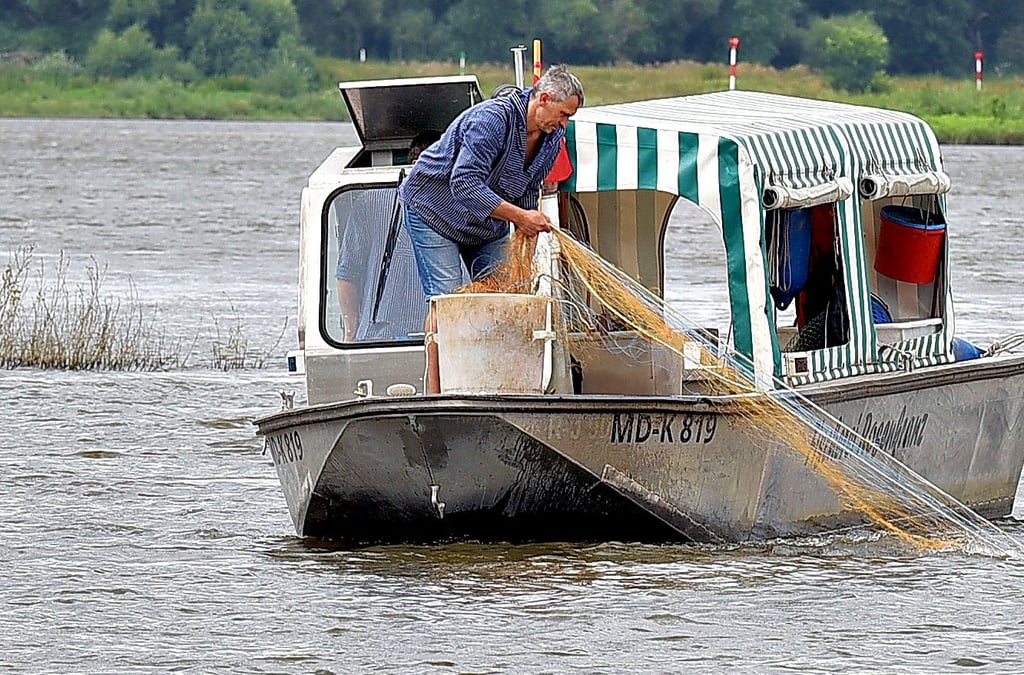 Auf der Elbe fühlt sich Reik Rosenkranz wohl. Den Fischfang will er auch weiter betreiben. Seinen Geschäft in Köthen schließt er aber.