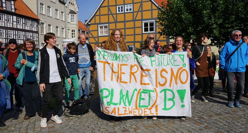 Rund 90 Kinder, Jugendliche und Erwachsene folgten dem Aufruf von Fridays for Future in Salzwedel.