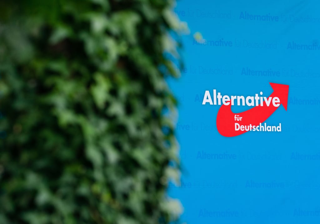 Die AfD-Fraktion im Stadtrat von Wernigerode verliert ihren Status.