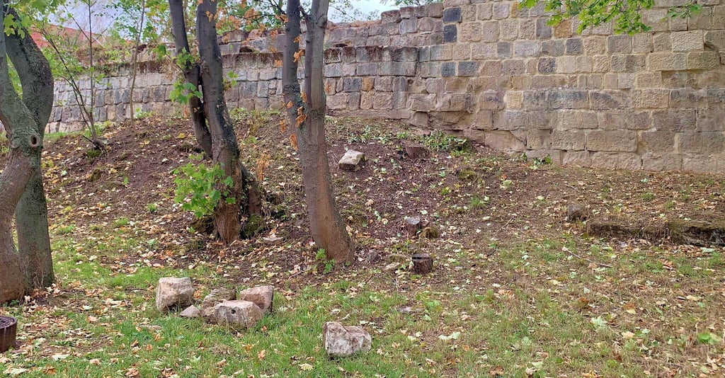 Aus der Mauerkrone der Stadtmauer an Halberstadts Schützenstraße sind große Steine ausgebrochen.