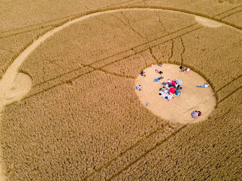 Die ausbleibende Ernte durch illegale Kornkreise hat schwere Folgen für die Landwirte in England. Auch in Bayern tritt das Phänomen immer wieder auf (Archiv).