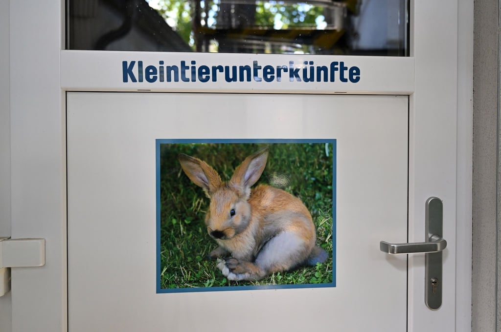 „Kleintierunterkünfte“ steht an einer Tür im Tierheim der Stadtwirtschaft Erfurt.