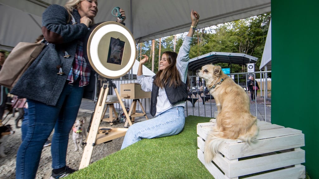 Im besten Licht: Nicht fehlen durfte auf dem Gelände der „German Petfluencer Awards“ natürlich eine Kulisse für Fotoshootings.