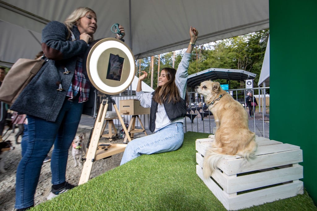 Im besten Licht: Nicht fehlen durfte auf dem Gelände der „German Petfluencer Awards“ natürlich eine Kulisse für Fotoshootings.