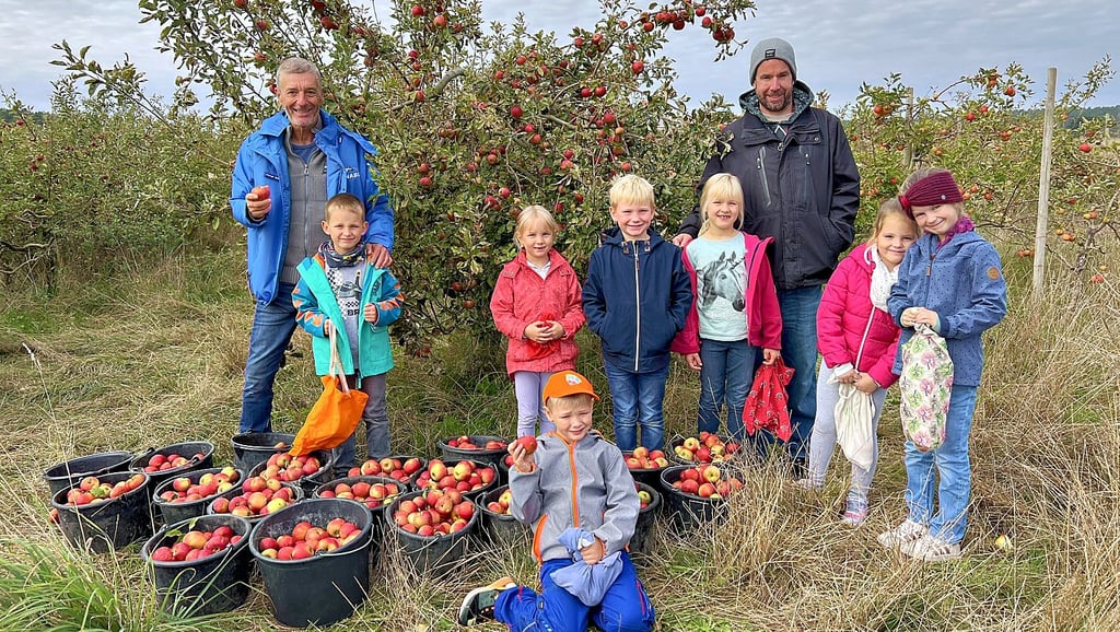 Gemeinsam mit Werner Gebauer haben die ersten Kinder der Freien Um-Welt Schule in Angern auf der Plantage in Rogätz Äpfel geerntet.
