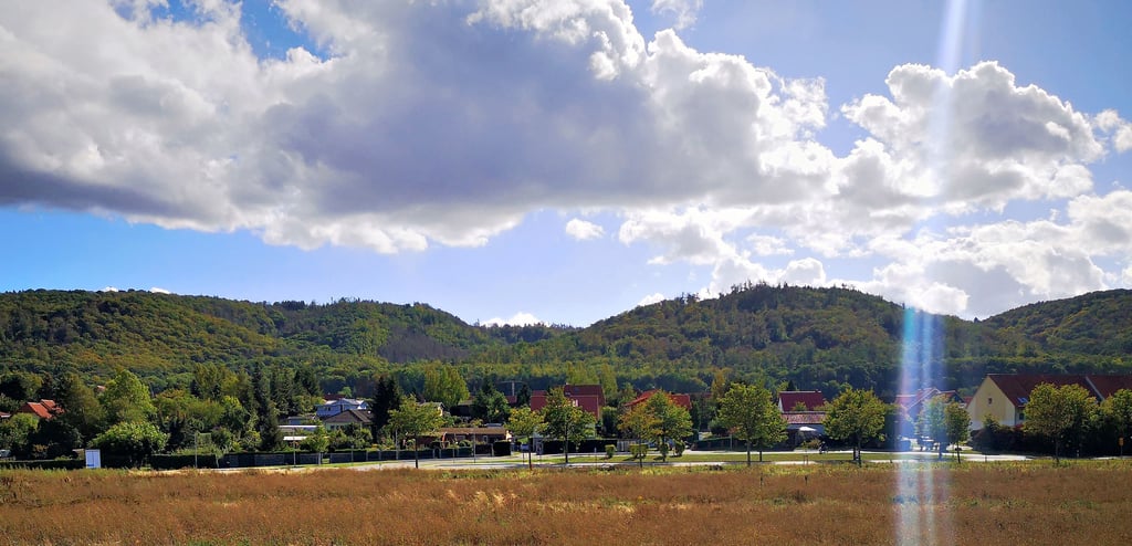 Dort, wo am Ortsrand von Benzingerode gerade Gräser und Wildpflanzen wuchern, soll ein Eigenheimgebiet entstehen. „Unterm Austberg“ heißt das Wohngebiet, das ein Investor aus Potsdam plant.