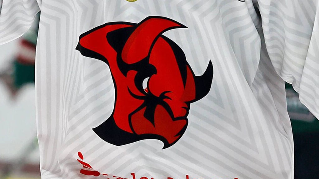Die Saale Bulls planen eine Schweigeminute für den am Sonntag gestorbenen Fan.