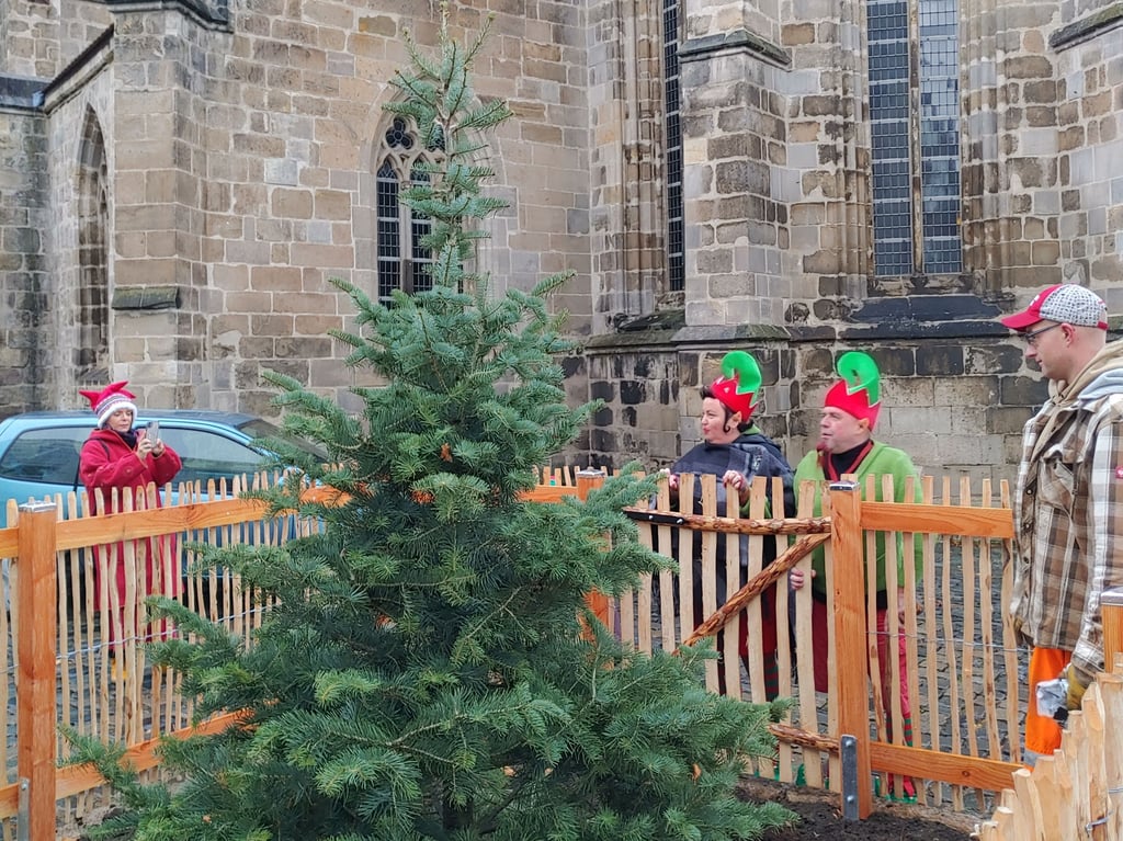 An der Martinikirche Halberstadts wurde im vergangenen Jahr der Weihnachtsbaum für alle gepflanzt.
