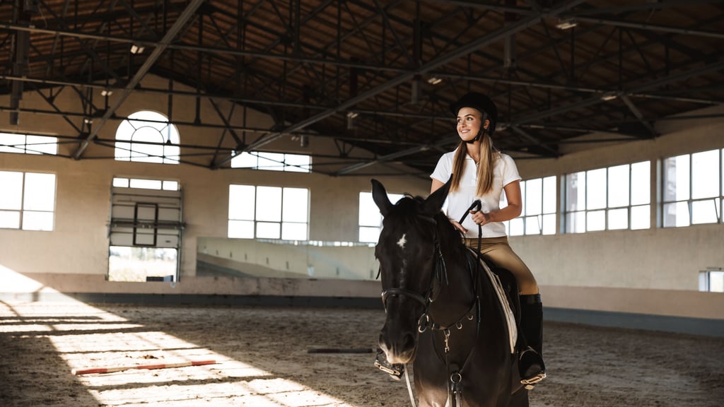 Am besten bringen Sie das Pferd  auf einer Reitanlage mit Reithalle unter.  Hier sind Reitlehrer vor Ort, die bei Bedarf helfen können.