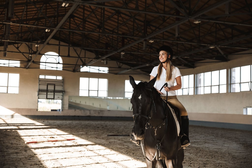 Am besten bringen Sie das Pferd auf einer Reitanlage mit Reithalle unter. Hier sind Reitlehrer vor Ort, die bei Bedarf helfen können.