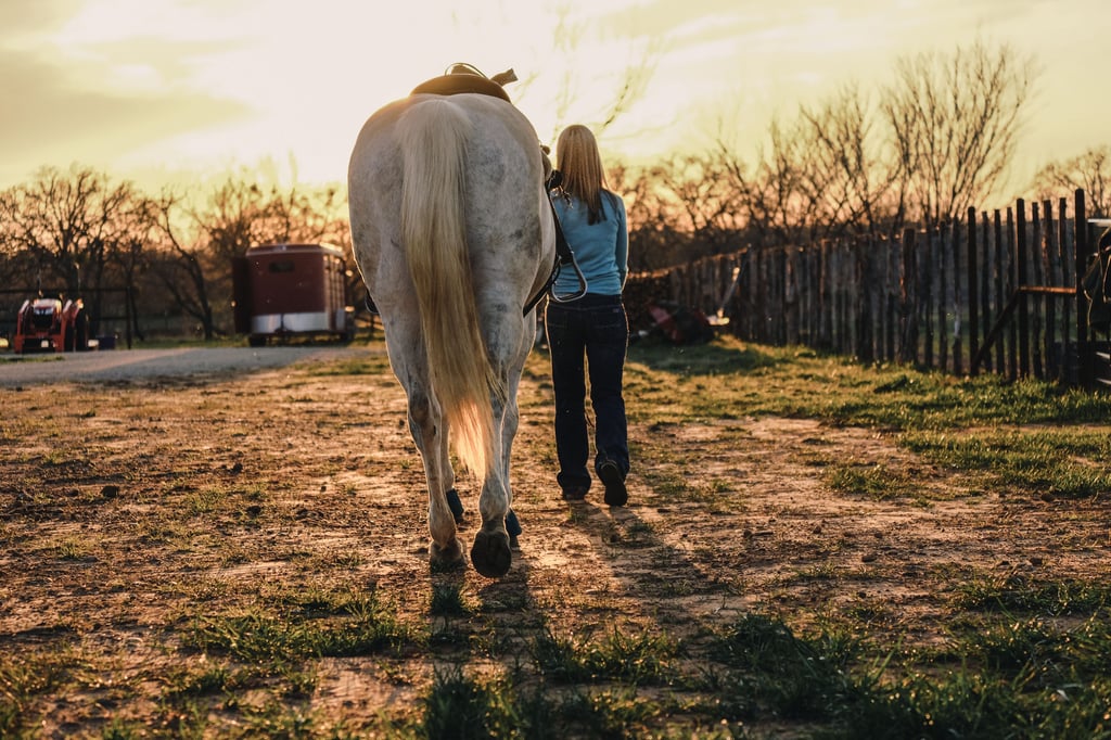Um ein Pferd zu halten, braucht es viel Erfahrung. Eine Reitbeteiligung ist ein guter Zwischenschritt, um zu testen, ob man mit den regelmäßigen Verpflicthungen klarkommt.