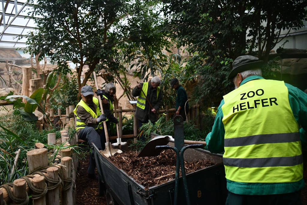Die Zoohelfer arbeiten ehrenamtlich im Magdeburger Zoo.