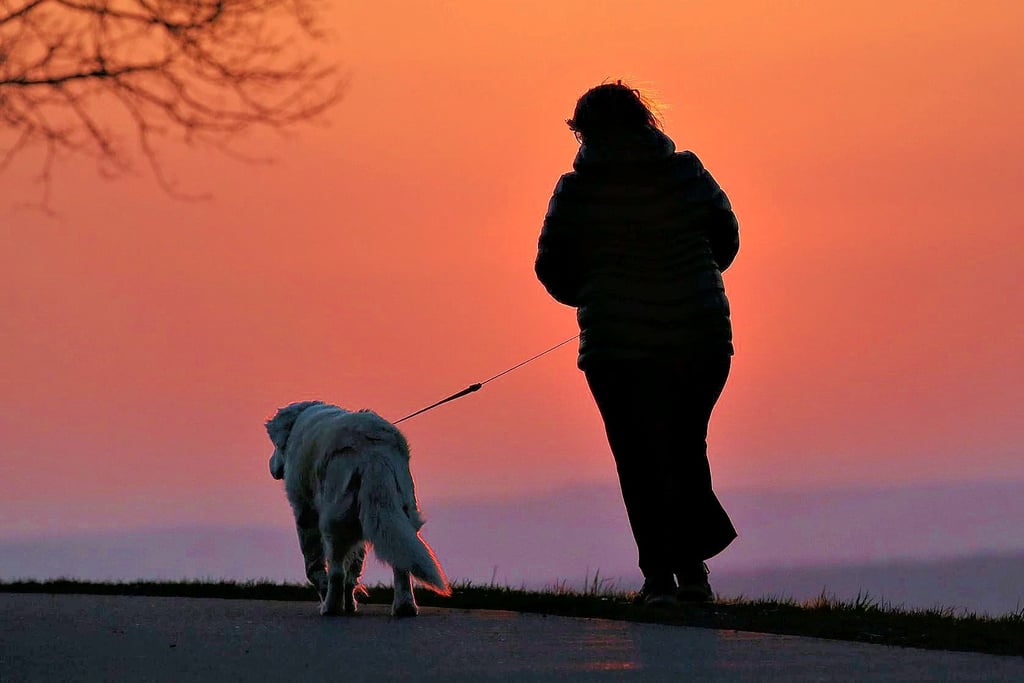 Eine Frau geht am Morgen mit ihrem Hund spazieren.