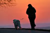 Eine Frau geht am Morgen mit ihrem Hund spazieren. 