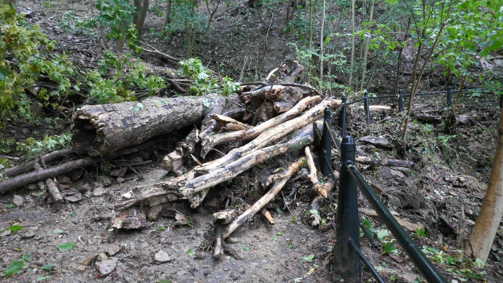 Das hat eine Mure am Präsidentenweg im Bodetal bei Thale angerichtet.