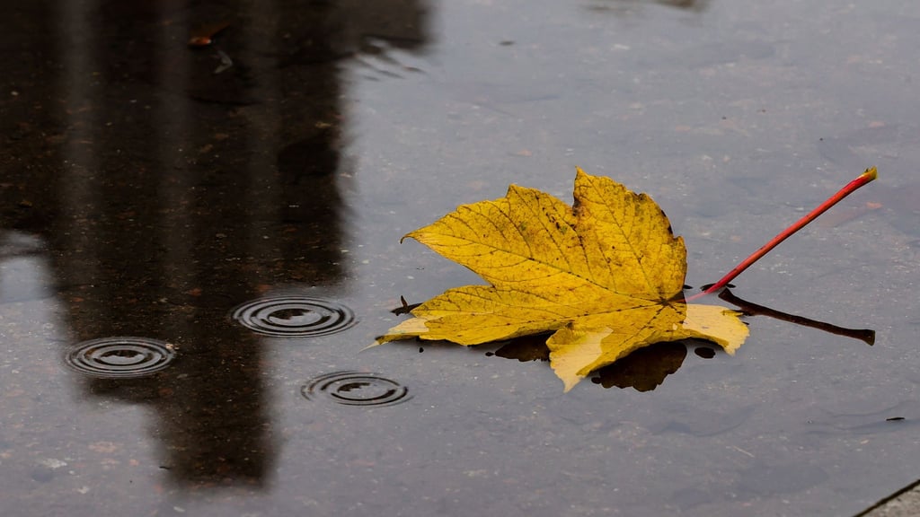 Herbstliches Wetter hat Sachsen-Anhalt am Dienstag im Griff.