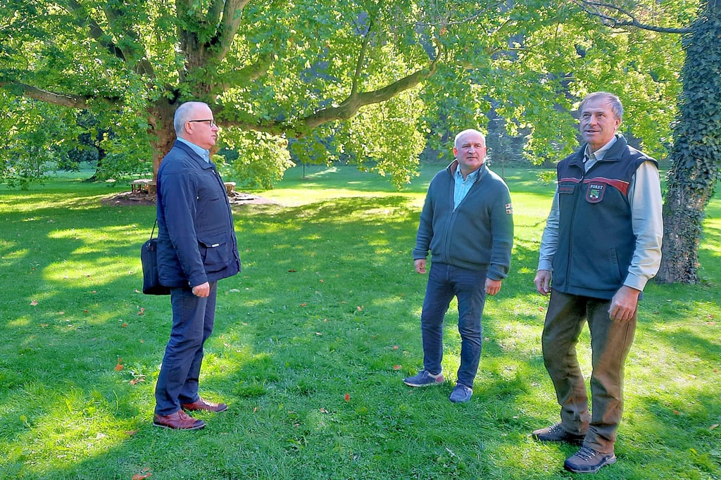 Christian Kah, Umweltamtsleiter des Burgenlandkreises, und die Forstwirte Arndt Gerber und Jürgen Hartung (v.l.n.r.) tauschen sich über den Zustand der Wälder aus.