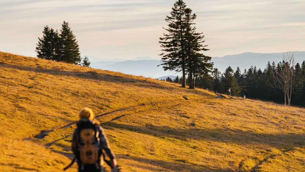 Bei Touren im Herbst werden Wandernde oft mit einmaligen Farb- und Lichtspielen belohnt - wie hier im Südschwarzwald.