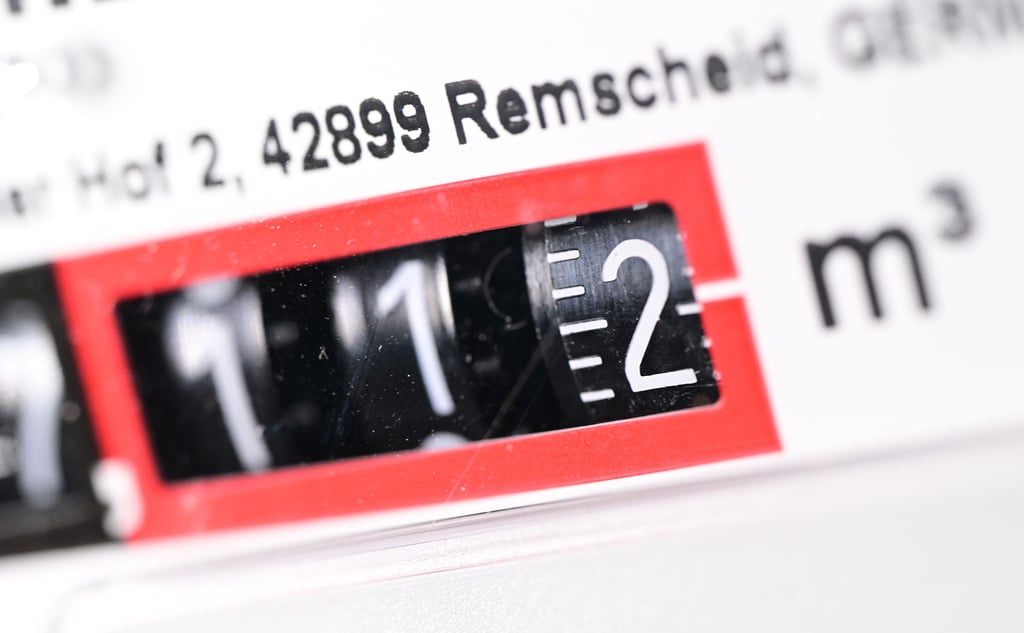 Die Bundesregierung hat sich auf eine Gaspreisbremse geeinigt.
