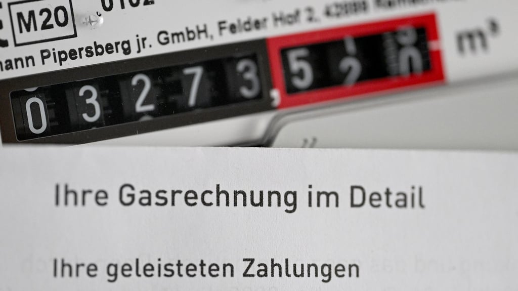 Laut Gesetz dürfen die Versorger nur Abschläge verlangen, die sich am durchschnittlichen Verbrauch des Haushalts und am aktuellen Preis orientieren.