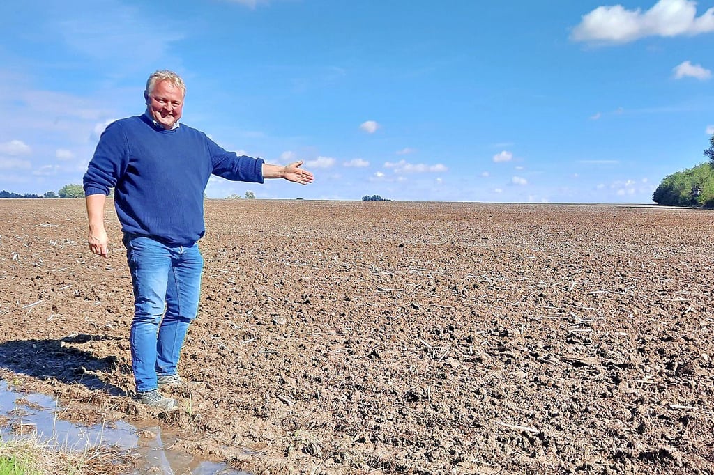 Auf diesem Feld bei Keutschen plant Landwirt Martin Beck, eine Solaranlage errichten zu lassen.
