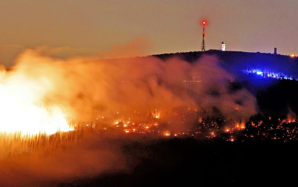 Anfang September loderten die Flammen im Nationalpark Harz unterhalb des Brockenplateaus.