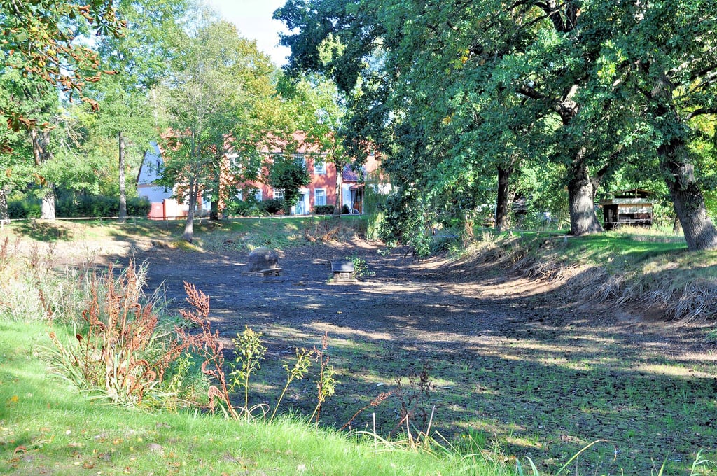 Ländliche Idylle ohne Wasser: der ausgetrocknete Dorfteich in Schopsdorf.