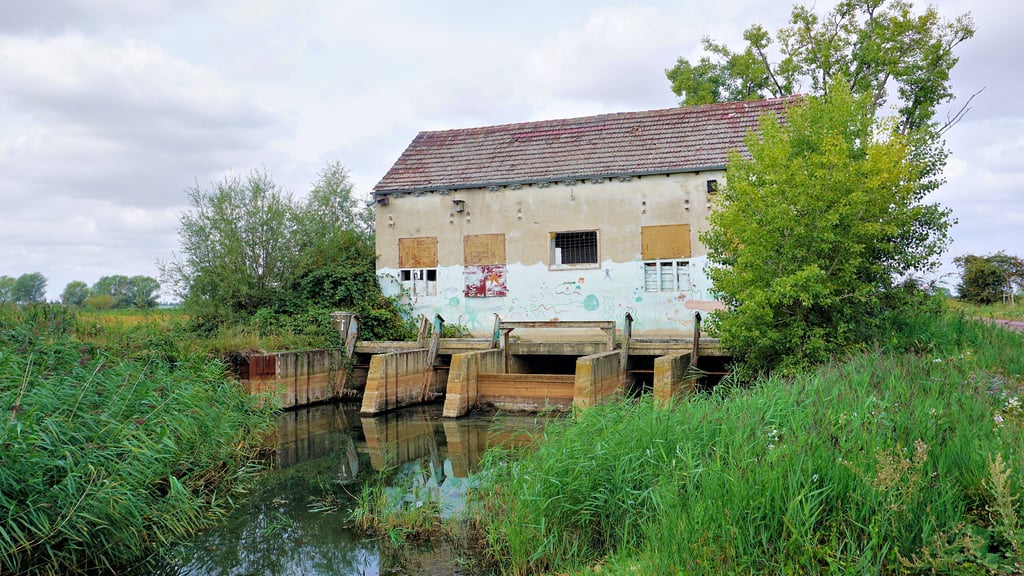 Seit 2019 hat das alte Schöpfwerk im Wulfener Bruch eine neue Funktion: Mit Holzbohlen soll das vorhandene Wasser im Landgraben gestaut werden und von dort aus über ein System ehemaliger Entwässerungsgräben in die Wiesenböden gelangen.