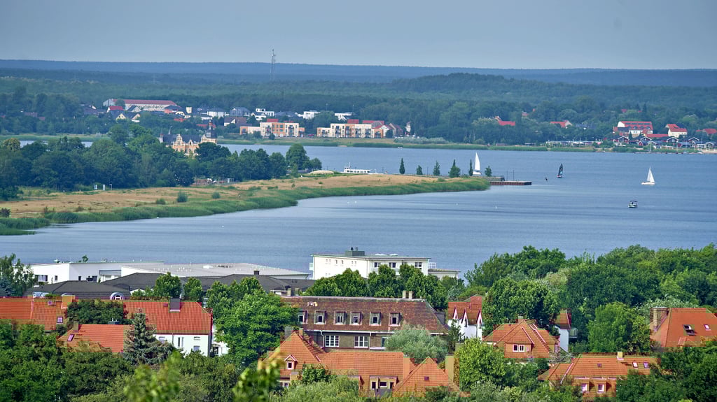 Der Blick vom Bitterfelder Bogen über die Goitzsche: Der Zweckverband ist unter anderem für den Erhalt der Wege rund um den See verantwortlich.