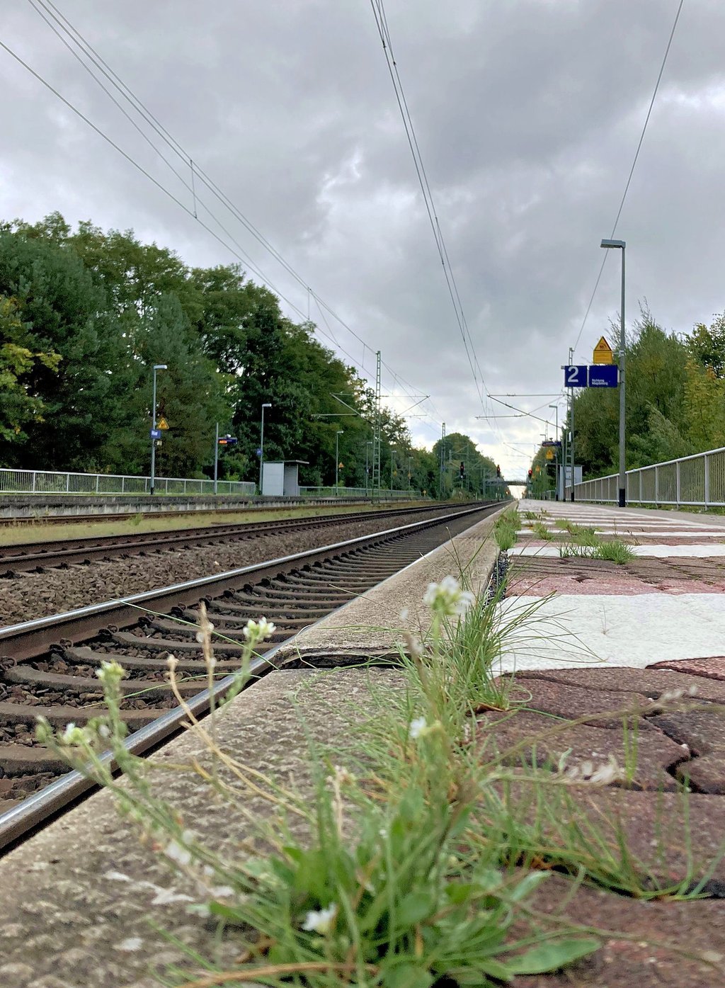 Bild mit Symbolcharakter: An den Wochenenden ist der Bahnhof in Möser beinahe verwaist. Der Fahrplan der Bahn ist dann ausgedünnt.