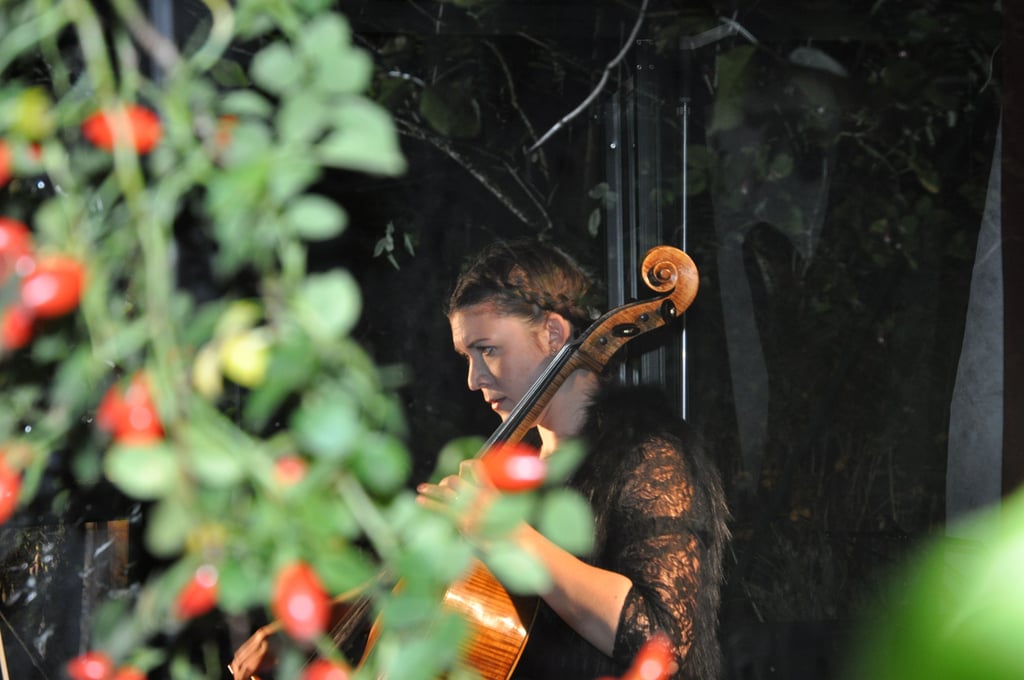 Anna Herrmann eröffnete mit ihrem Cello die Konzerte im Gewächshaus.