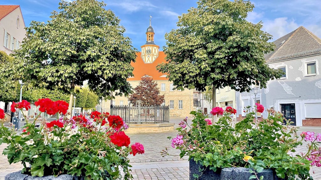 Umrangt von Blumen und Bäumen: Nach der Sanierung erstrahlt das Salzlandmuseum in Schönebeck in neuem Glanz. Doch der Salzlandkreis pumpt viele Zuschüsse in das Objekt.