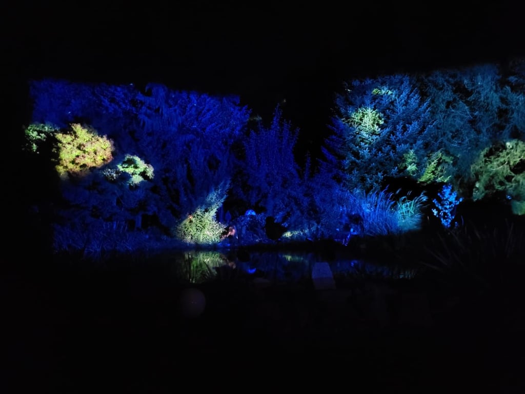 Fliegende Fische über dem Koi-Teich gab es im Garten von Detlef Stimbra zu entdecken.