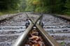 Vielerorts in Sachsen-Anhalt liegen Gleise, auf denen seit Jahren kein Zug gefahren ist. Die Rufe werden lauter, Strecken zu reaktivieren. 