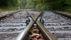 Vielerorts in Sachsen-Anhalt liegen Gleise, auf denen seit Jahren kein Zug gefahren ist. Die Rufe werden lauter, Strecken zu reaktivieren. 